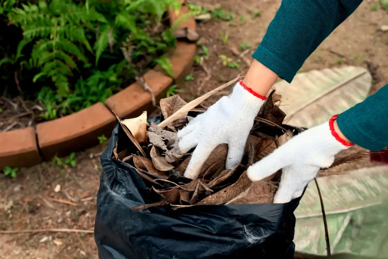 gardener-collecting-dry-leaves-garbage-bag-back-yard